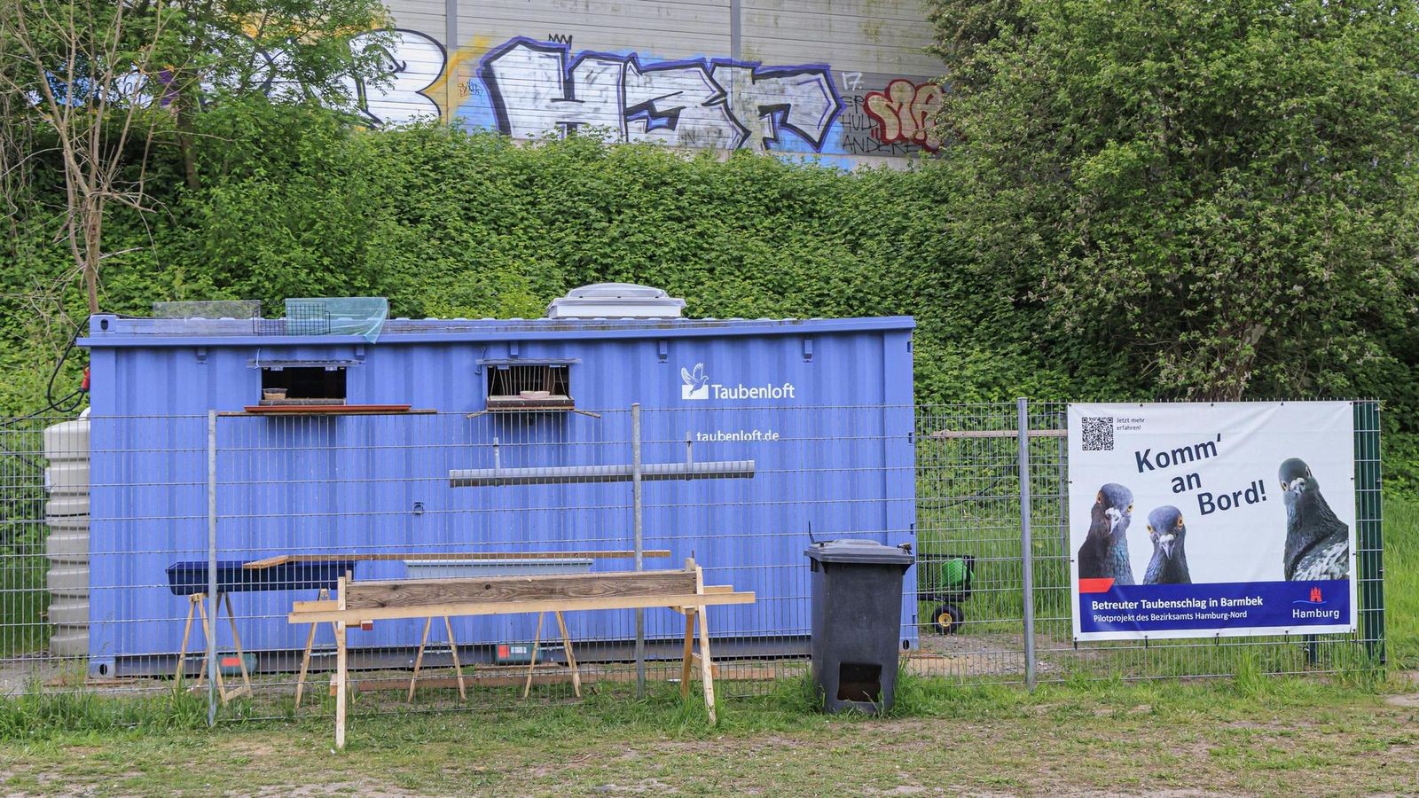 Ist das Taubenloft ein Flop? Kot der Vögel weiterhin ein Problem