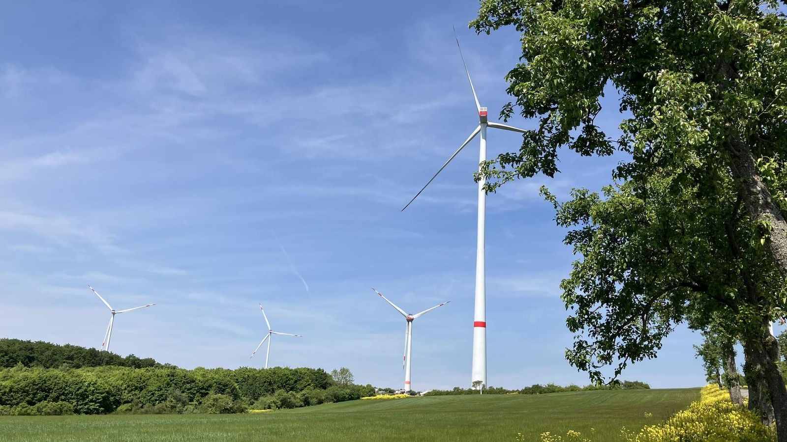 Gibt-es-in-Jena-bald-die-ersten-Windr-der-