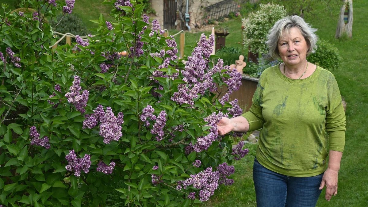 SaaleHolzland Ein Traum von einem Garten in 21 Bildern