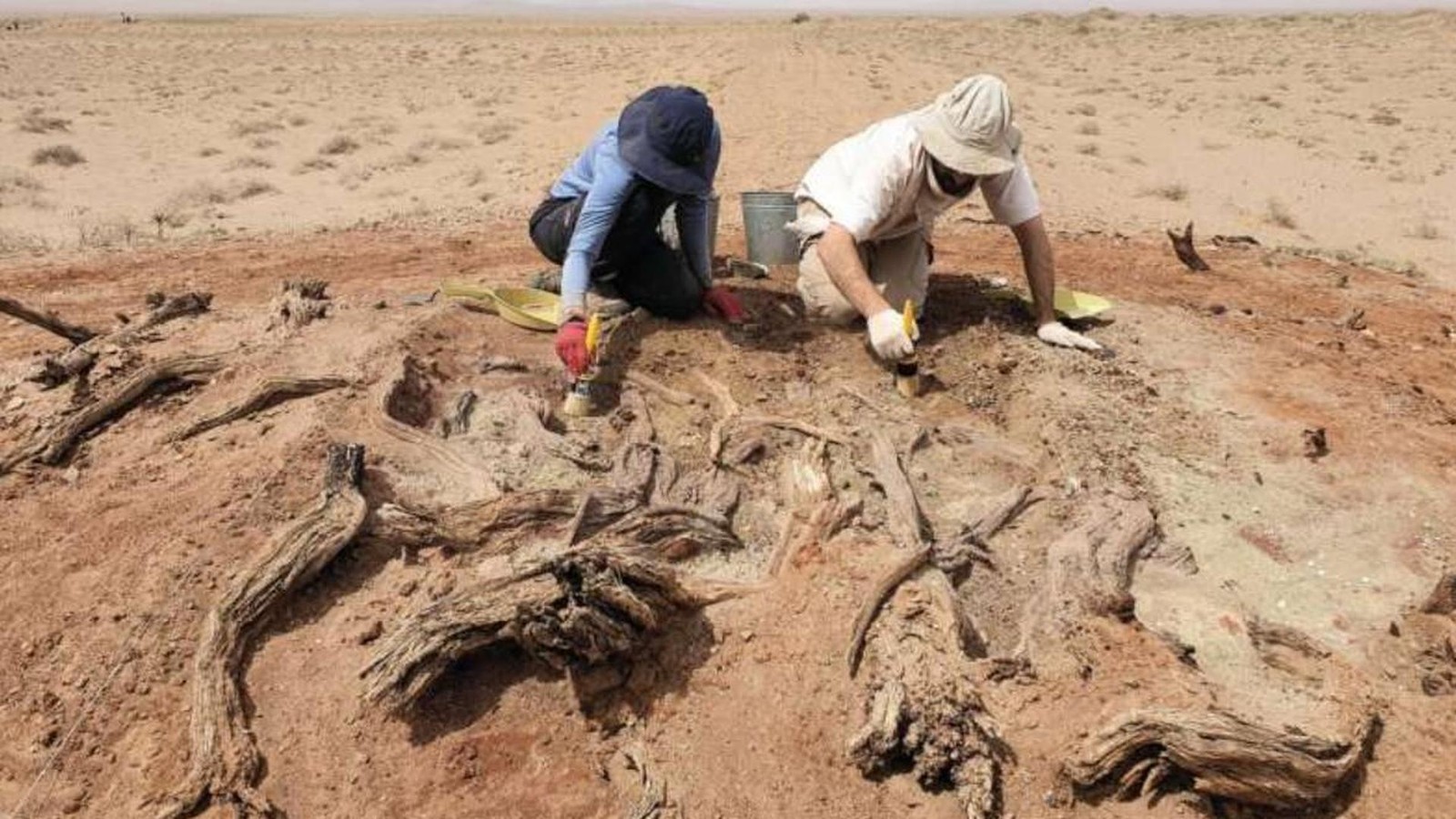 Arch-ologische-Sensation-Monumentales-R-tsel-in-der-W-ste-verbl-fft