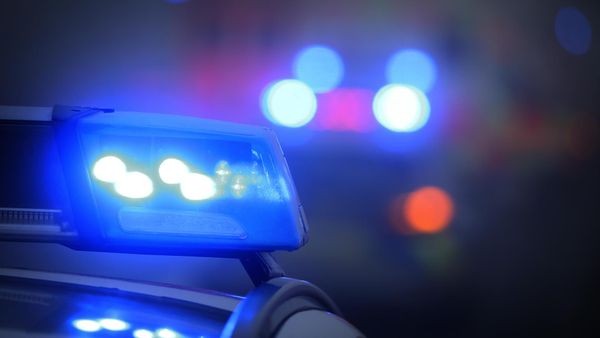 Skupina moških naj bi nadlegovala transženske v nočnem avtobusu