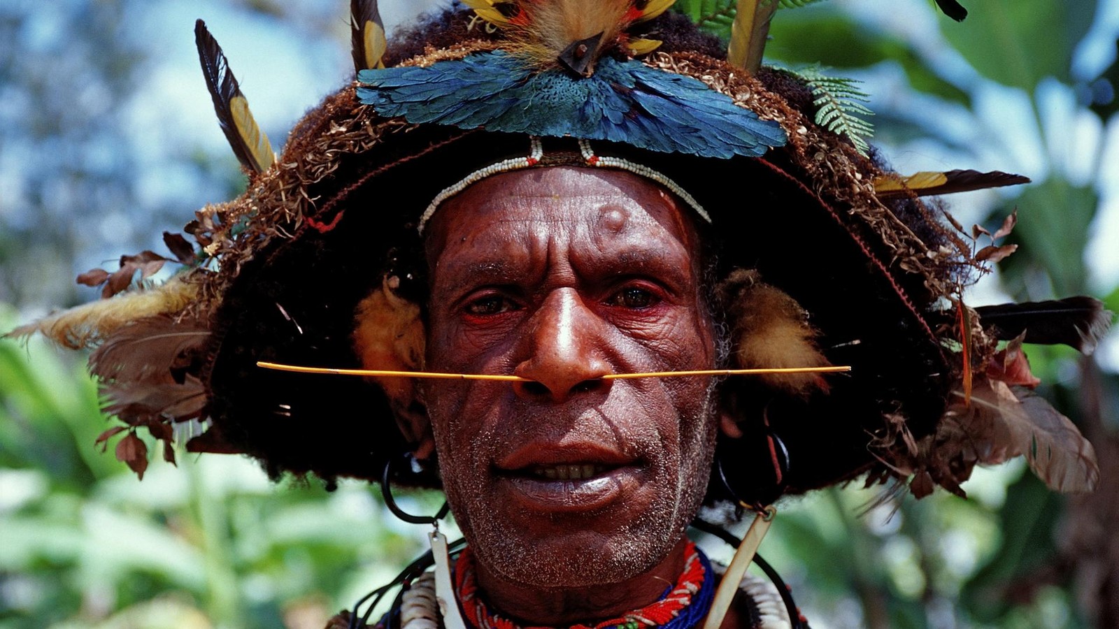 Verbl-ffende-Erkenntnisse-der-antiken-DNA-aus-Papua-Neuguinea