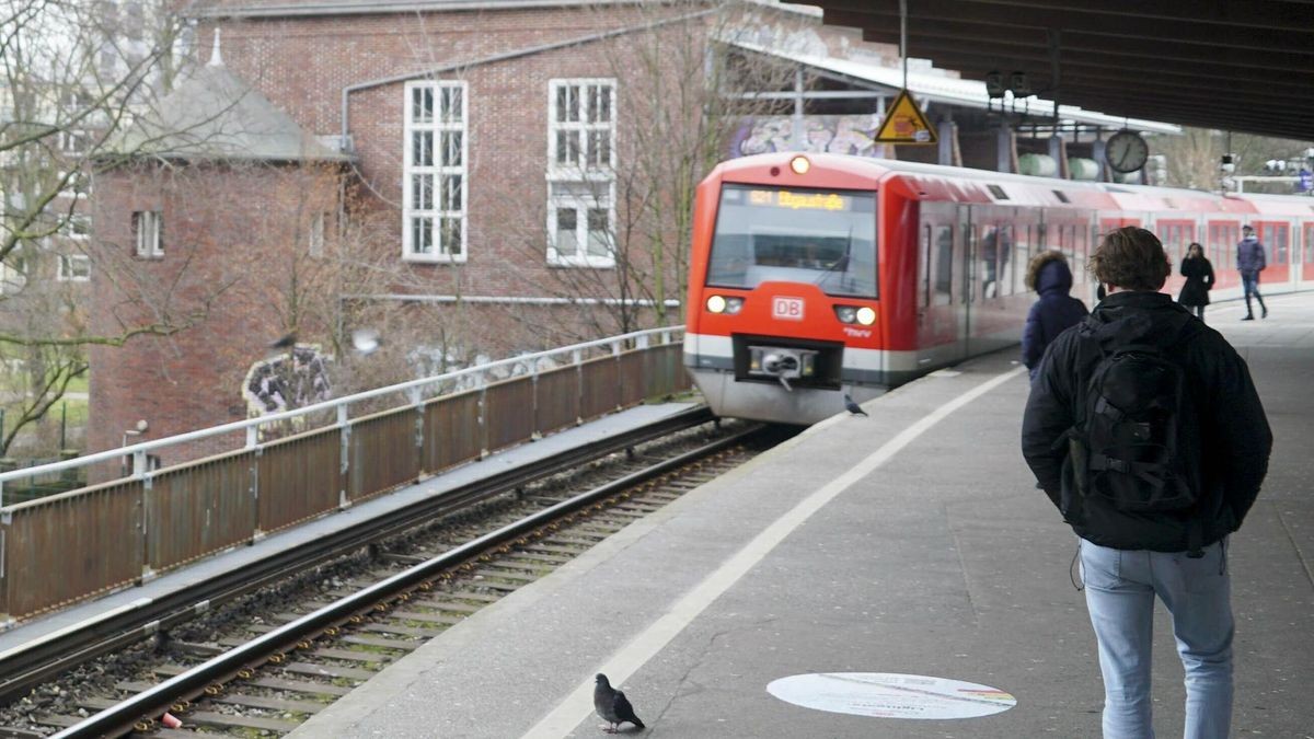 Eine S-Bahn fährt in Hamburg am Bahnhof Berliner Tor ein