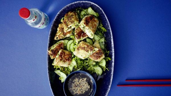 Knusprig gebratene Reispapier-Gyoza auf Gurken-Romana-Salat