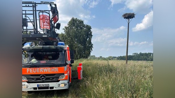 Braunschweiger Feuerwehr rettet drei Jungstörche aus Nest