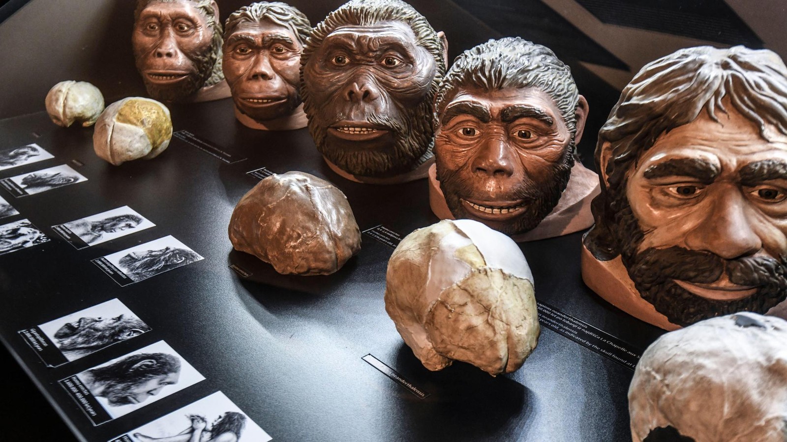 Wie-der-Mensch-vor-50-000-Jahren-Afrika-verlassen-konnte