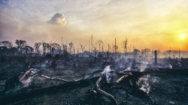 Klimawandel: „Unsere Städte bekommen ein Verfallsdatum“