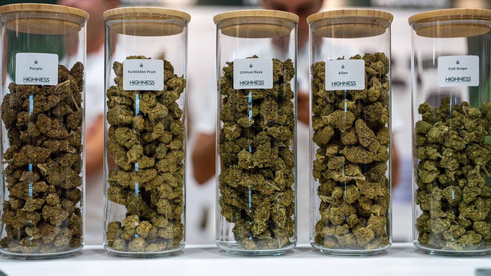 Cannafair-2025-in-D-sseldorf-steht-an-an-neuem-Standort