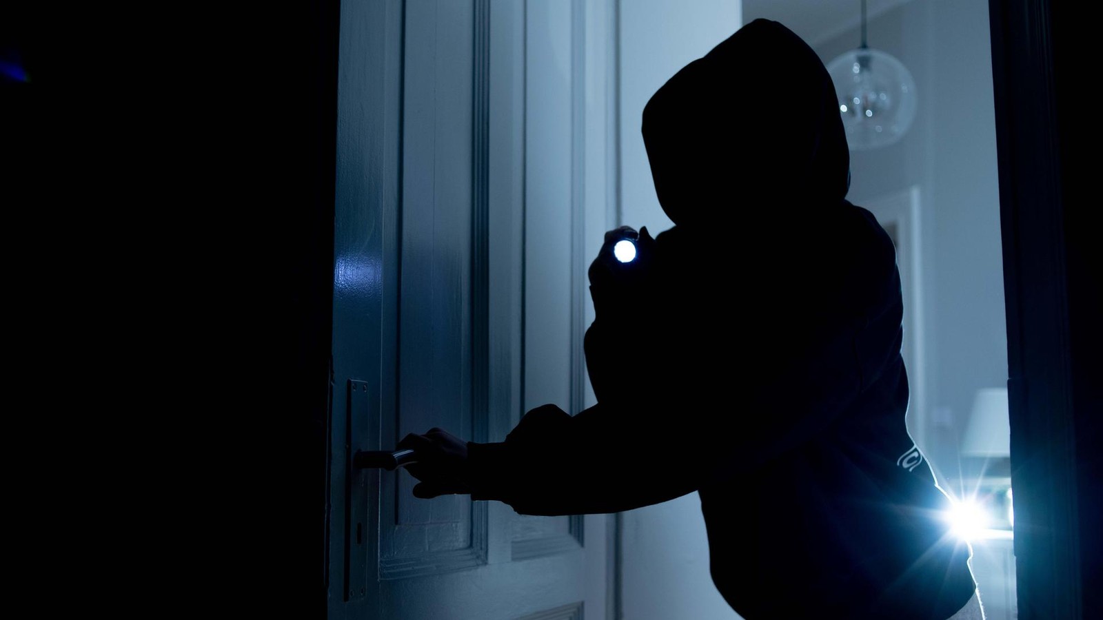 Schon-wieder-eine-Gartenlaube-Aufmerksamer-Erfurter-verscheucht-Diebe