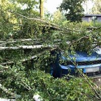 26.06.2025, Berlin: Ein von schwerer Böen entwurzelter Baum befindet sich auf einem Auto im Heiligensee -Bezirk Berlin. (Zu DPA: 