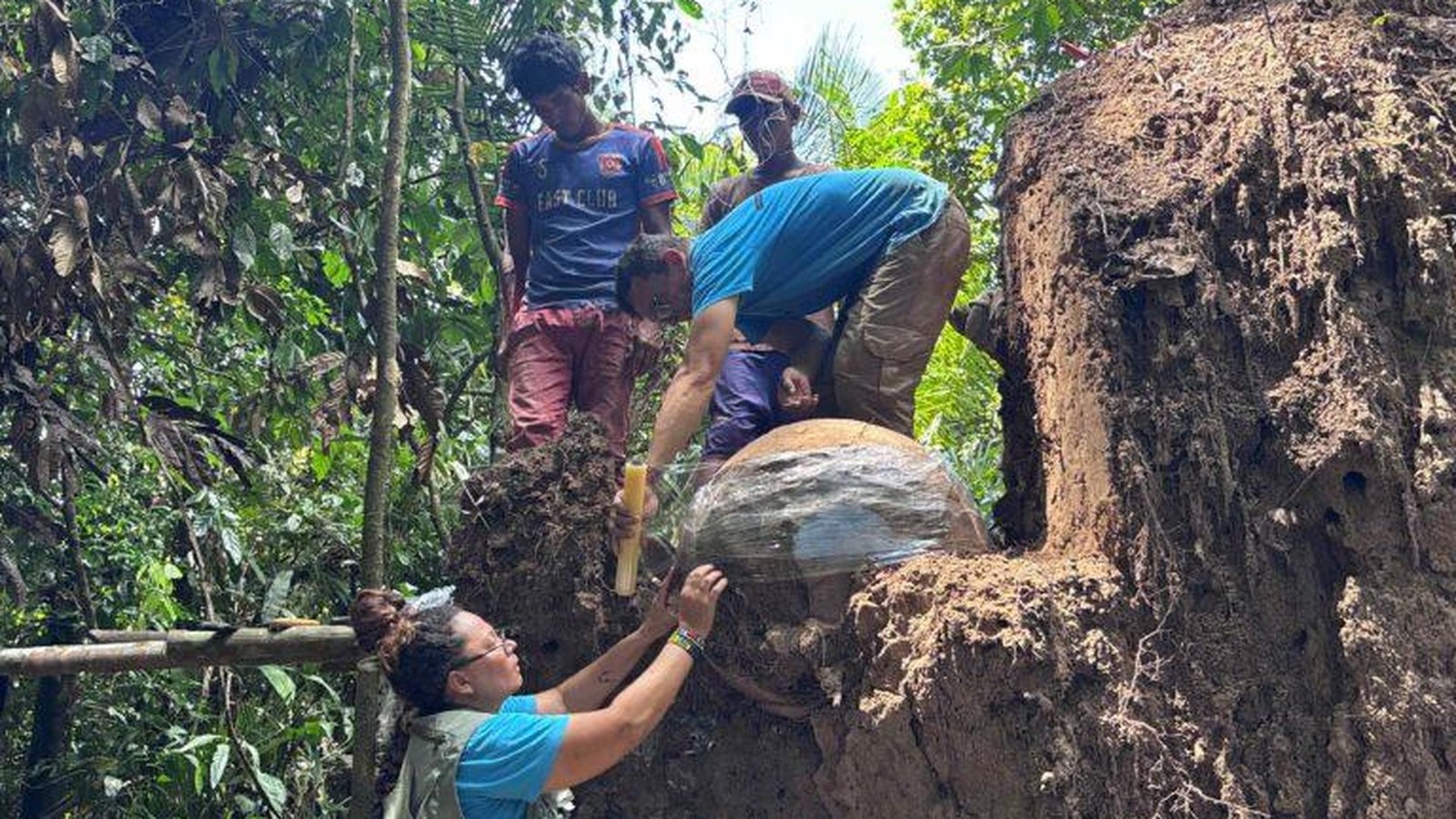 Sensation-Urnenfund-im-Regenwald-enth-llt-pr-historische-Rituale