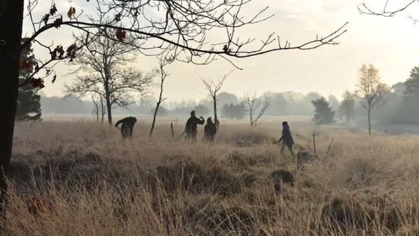 Niederlande: Römische Spuren außerhalb des Limes entdeckt