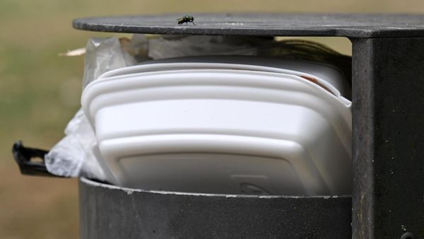 Mehrweg statt Einweg: Peine diskutiert über Verpackungssteuer