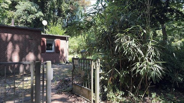 In verlassenem Bungalow: Drogenplantage im Duisburger Süden entdeckt