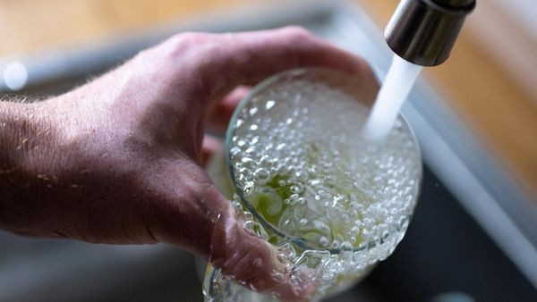 Abnehmen mit Wasser? Mit diesen Tipps von Dr. Riedl schmelzen die Pfunde