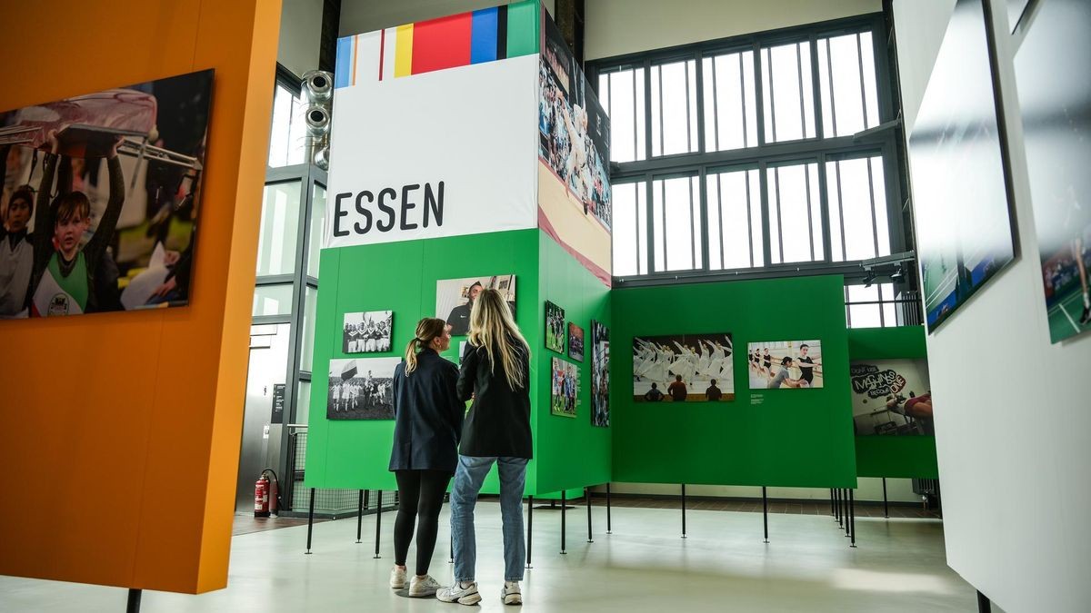 Fünf Ruhrgebiets-Städte machen bei den World University Games mit. Eine Sonderschau auf dem Essener Welterbe Zollverein präsentiert jeden Standort mit seinen Vorzeige-Sportarten. 