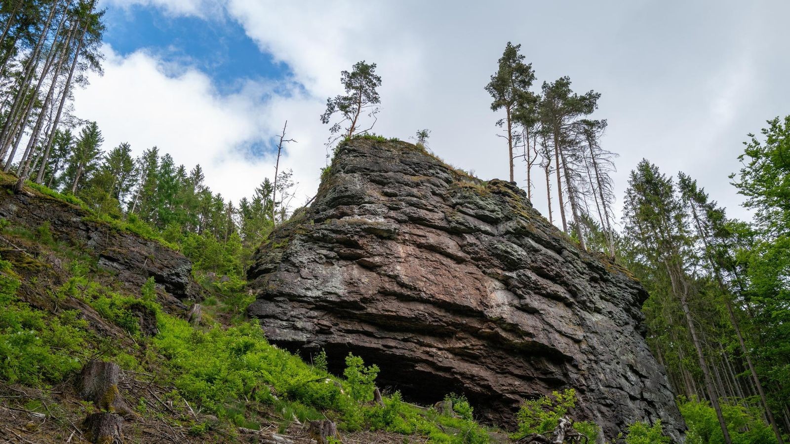 Der-Th-ringer-Wald-performt-sehr-durchwachsen