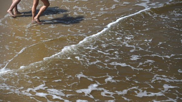 Vibrionen-Infektion: 68-Jähriger stirbt nach Bad in der Ostsee