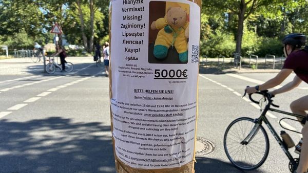 V Berlinu ukraden medvedek, lastnik zvišal nagrado za najditelja
