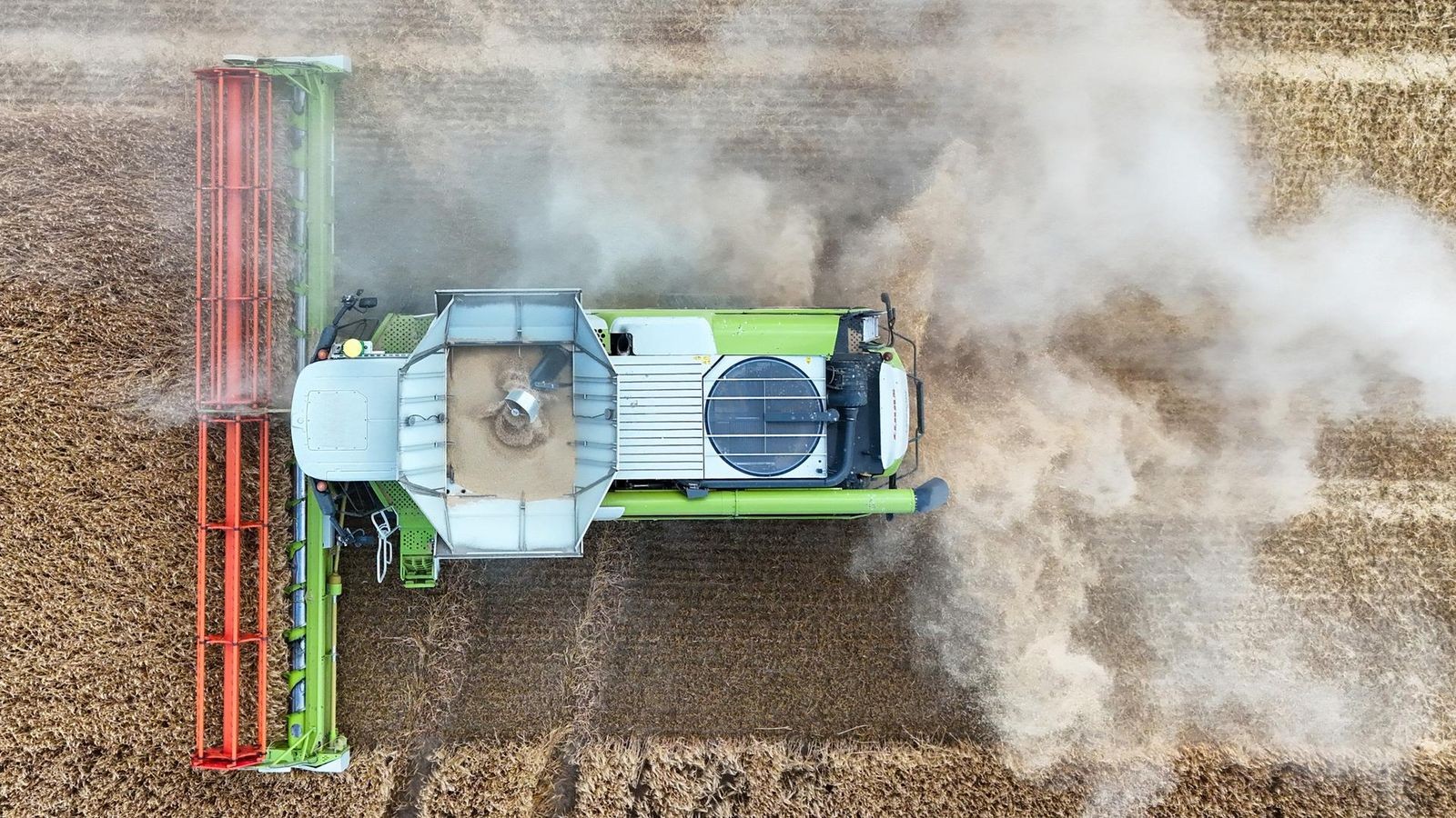 Rekordernte-und-miese-Preise-Greizer-Landwirte-zwischen-Jubel-und-Entt-uschung