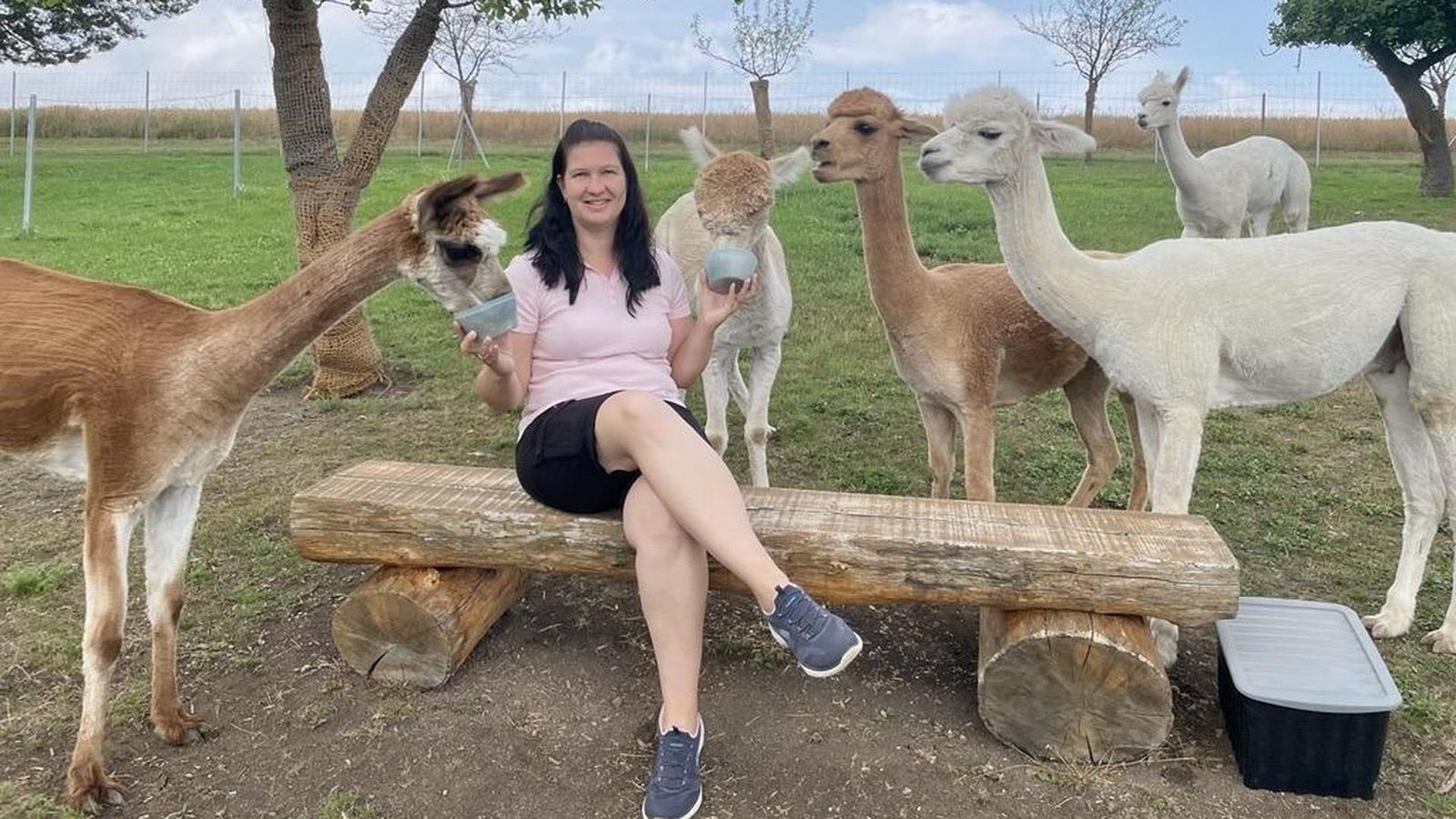 Mein-Jahr-2025-im-Ilm-Kreis-Von-Experimenten-mit-Bratw-rsten-bis-hin-zu-Riesenstrau-en