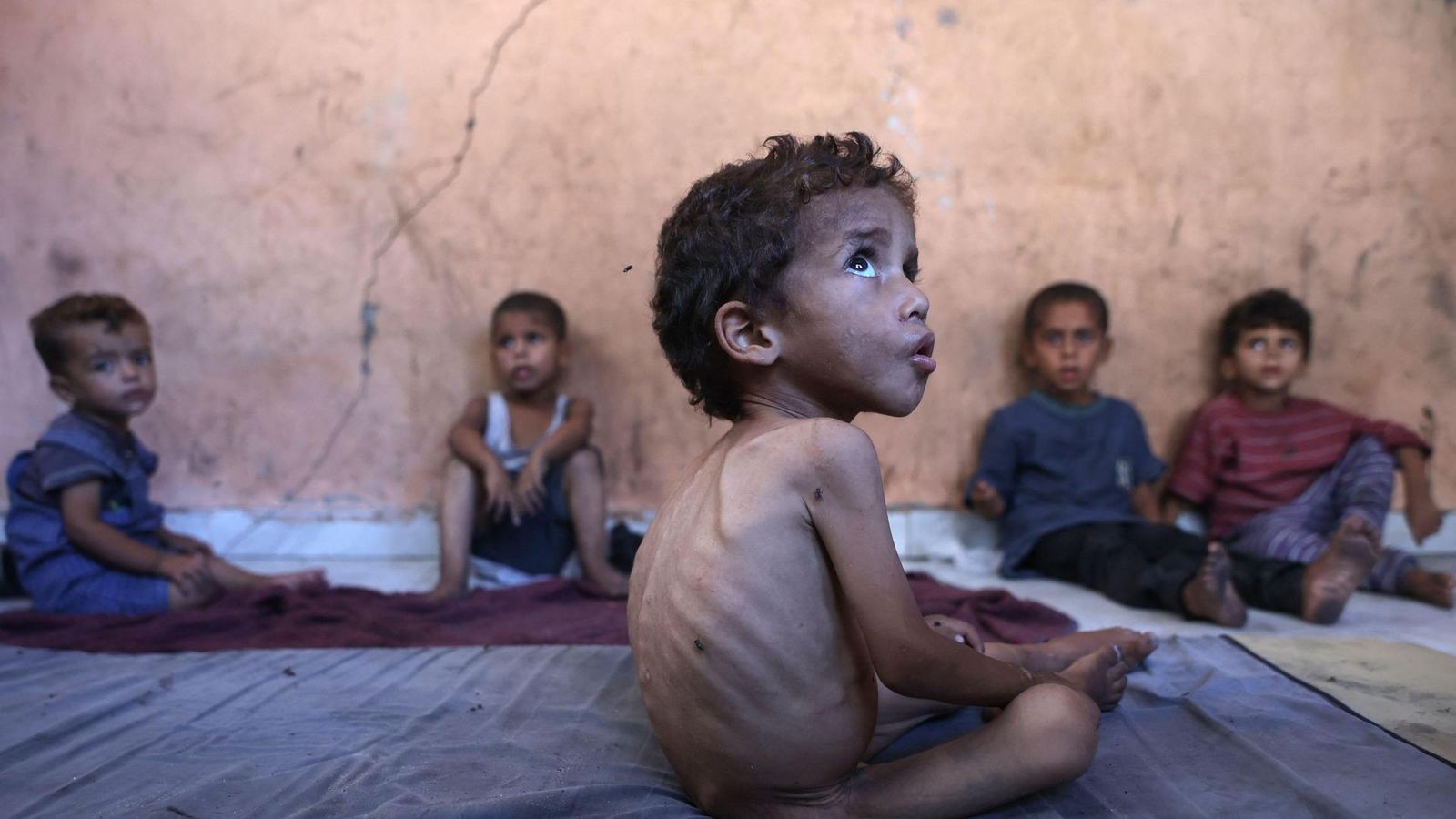 Warnung-vor-Massenhungersnot-Koalition-bei-Gaza-Frage-uneins