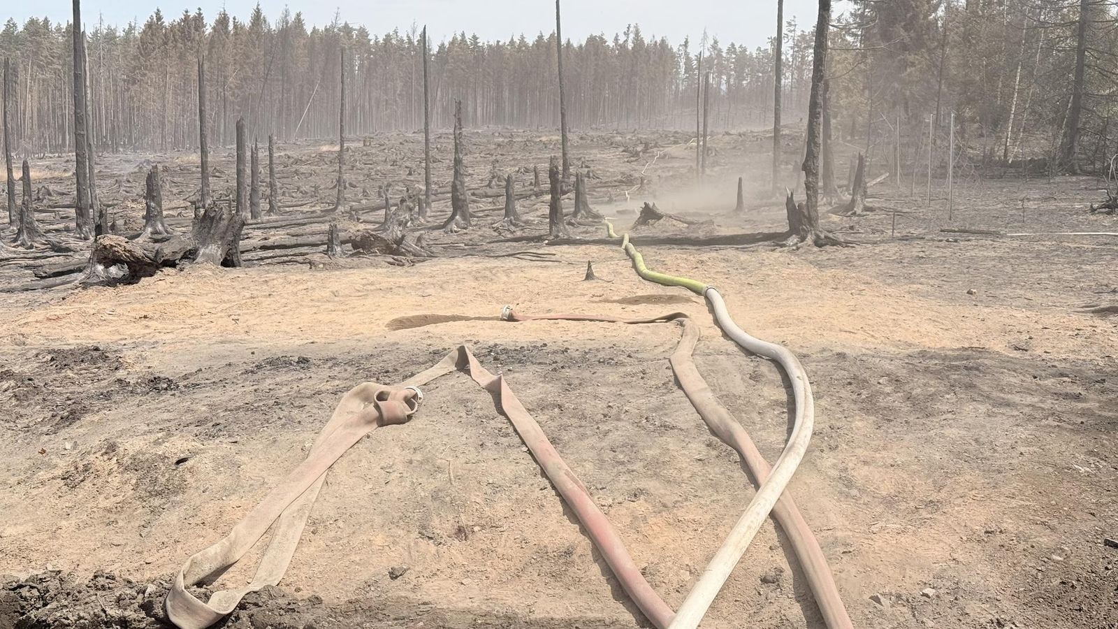Waldbrand-bei-Saalfeld-Das-ist-der-Stand-der-Ermittlungen