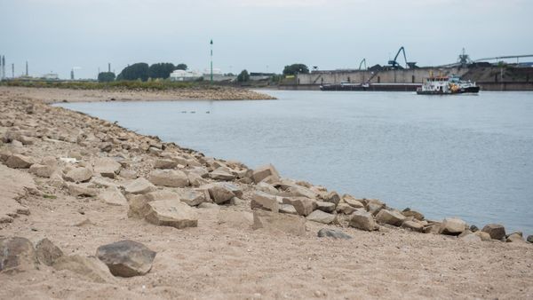 Ehepaar entdeckt abgetrenntes Bein am Rheinufer – Rätsel gelöst
