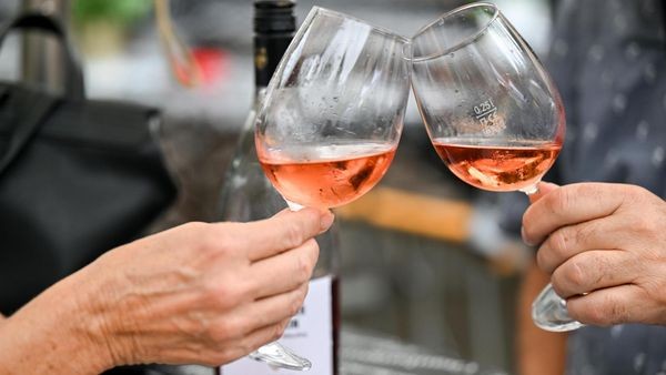 „Weinstraße“ in Uetersen: Vier Tage Party, Musik und Rosen in der City