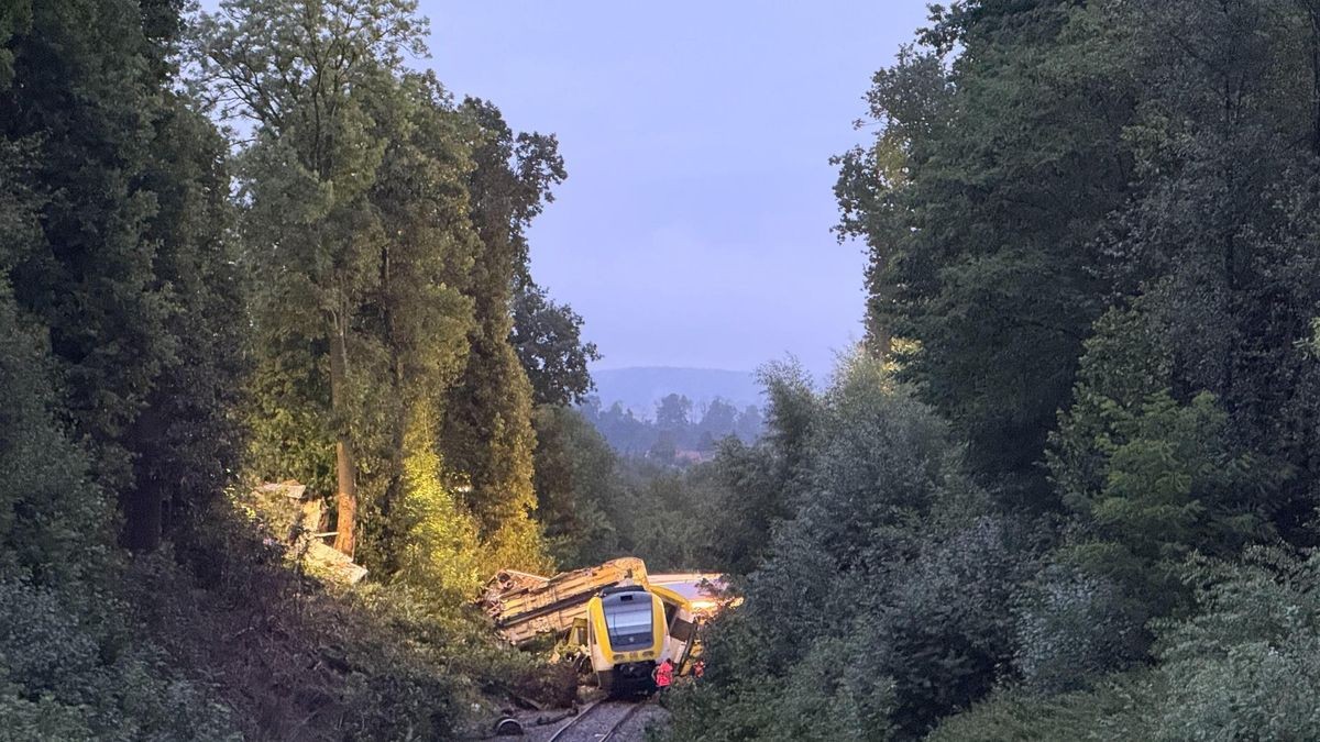 Der entgleiste Regionalexpress steht im Kreis Biberach zwischen den Ortsteilen Zweifaltendorf und Zell auf der Strecke. Personenzug entgleist in Oberschwaben