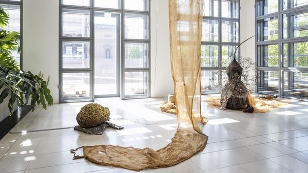 Verblüffende Stücke in Hamburger Museen: Rätsel um einen Kürbis