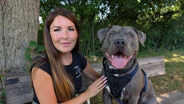 Tierheim Witten: Gestohlener Thyson hat jetzt ein neues Zuhause