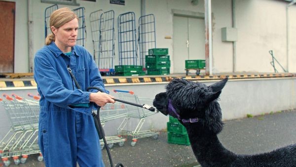 Was guckst du? Unsere Filmtipps der Woche