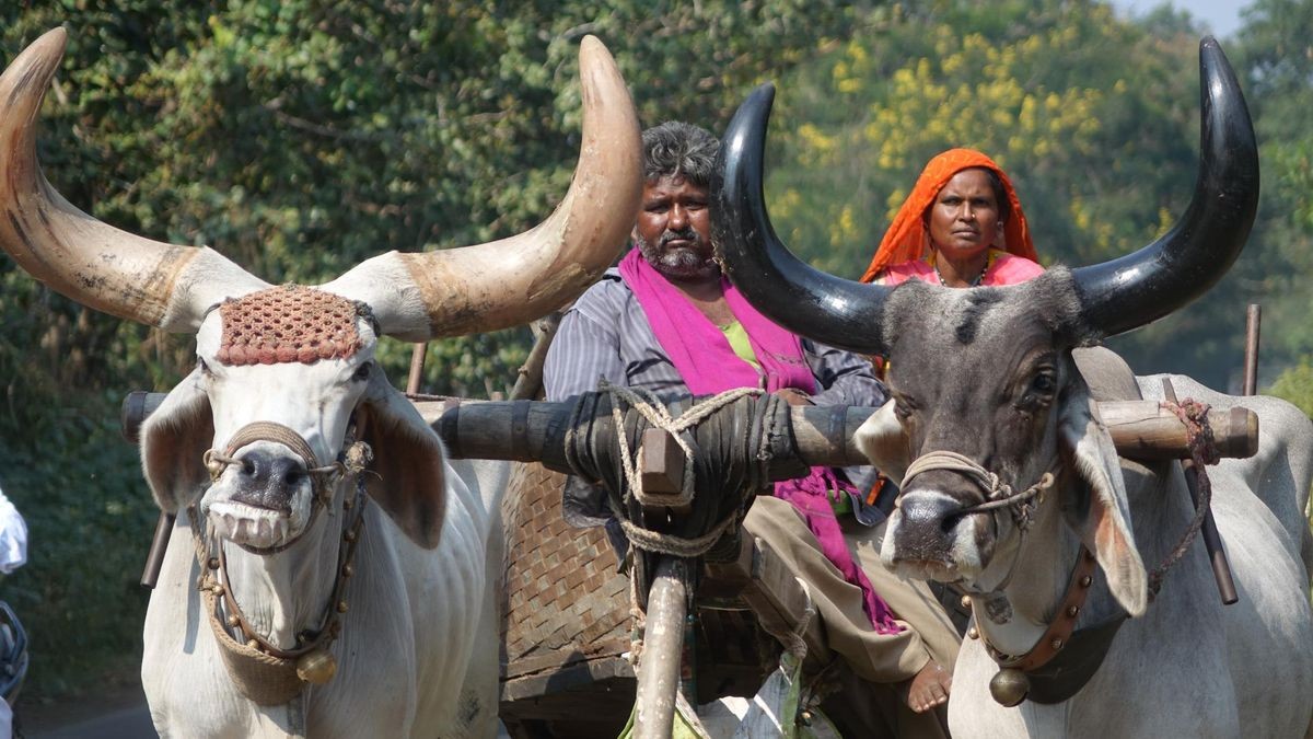 Designer Tours Indien