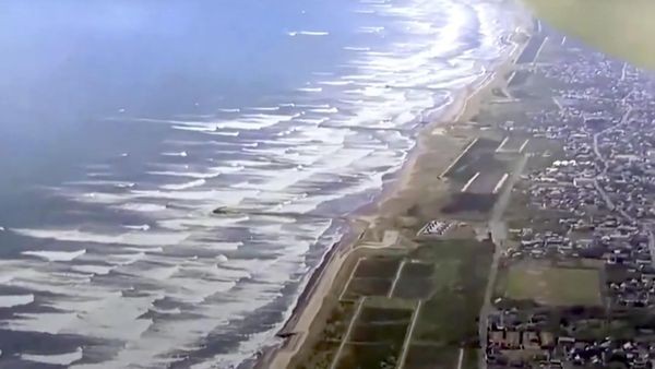 Tsunami-Warnung im Pazifik: So entstehen die Riesenwellen