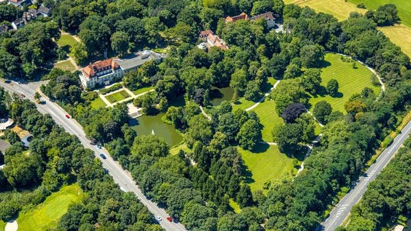 Nicht mehr zu retten: Hier werden in Mülheim Bäume gefällt