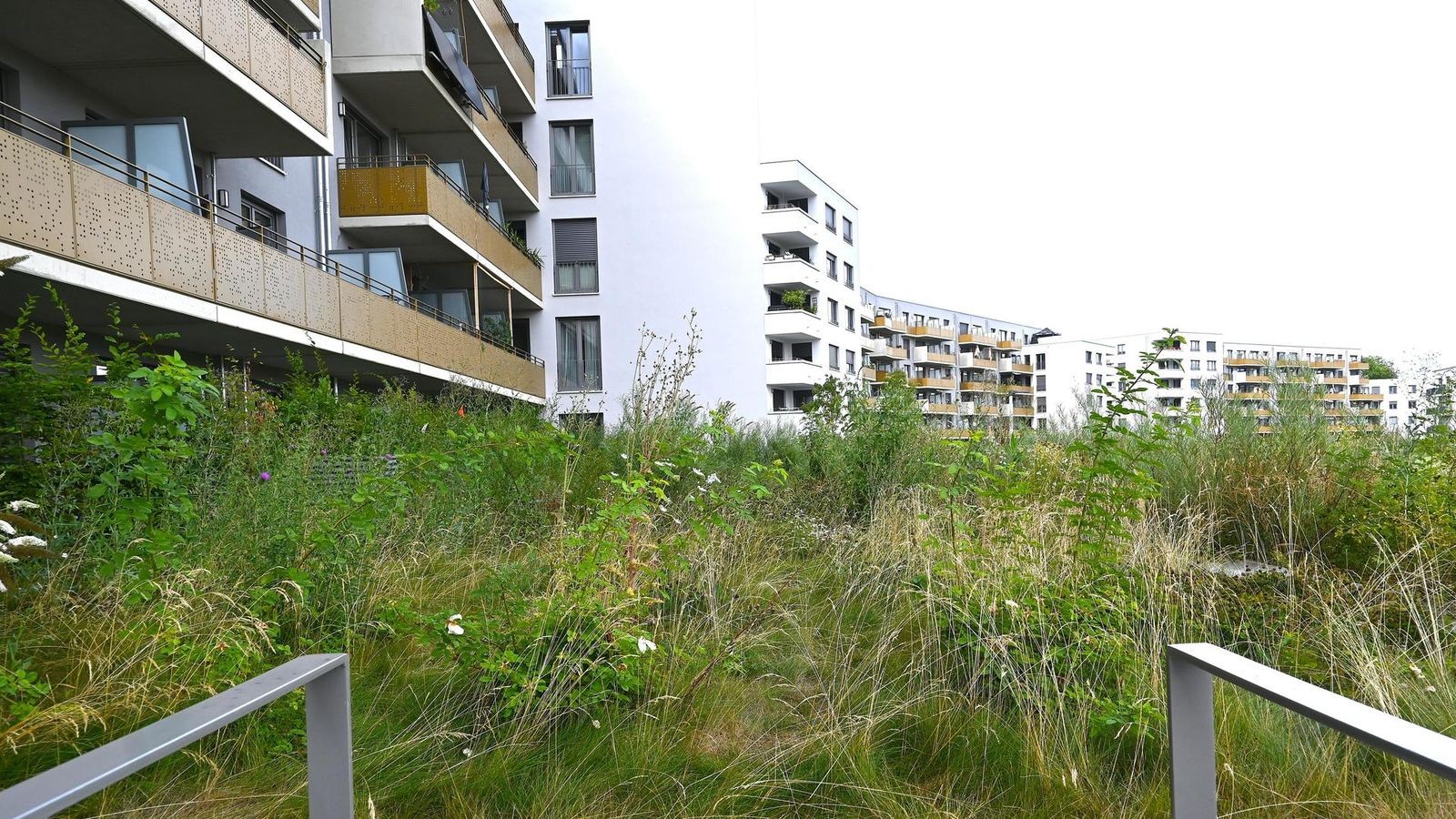 Verärgerte Mieter im neuen Weimarer Wohnviertel: „Es ist eine Katastrophe“