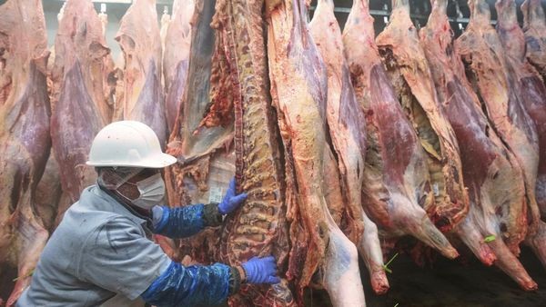 Wie Tönnies und Westfleisch um Rinderschlachtungen streiten