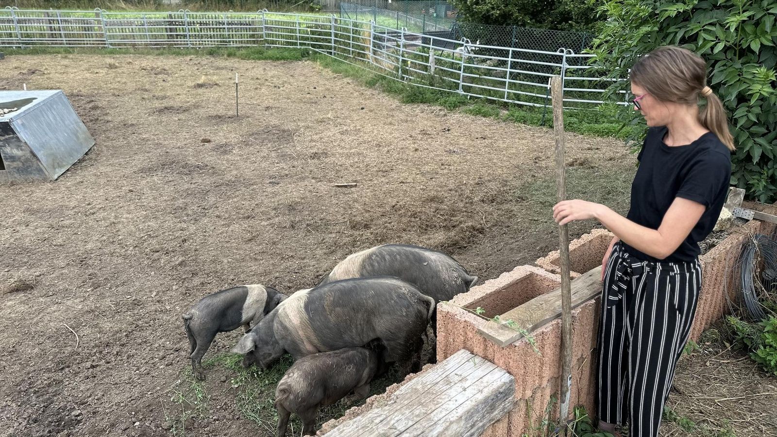 Junglandwirtin-aus-Th-ringen-Mich-macht-die-Arbeit-unglaublich-zufrieden-
