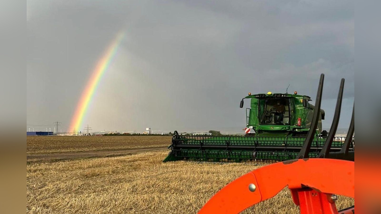 Regen bedroht Ernte in Thüringen: „Der Weizen muss bald vom Feld“