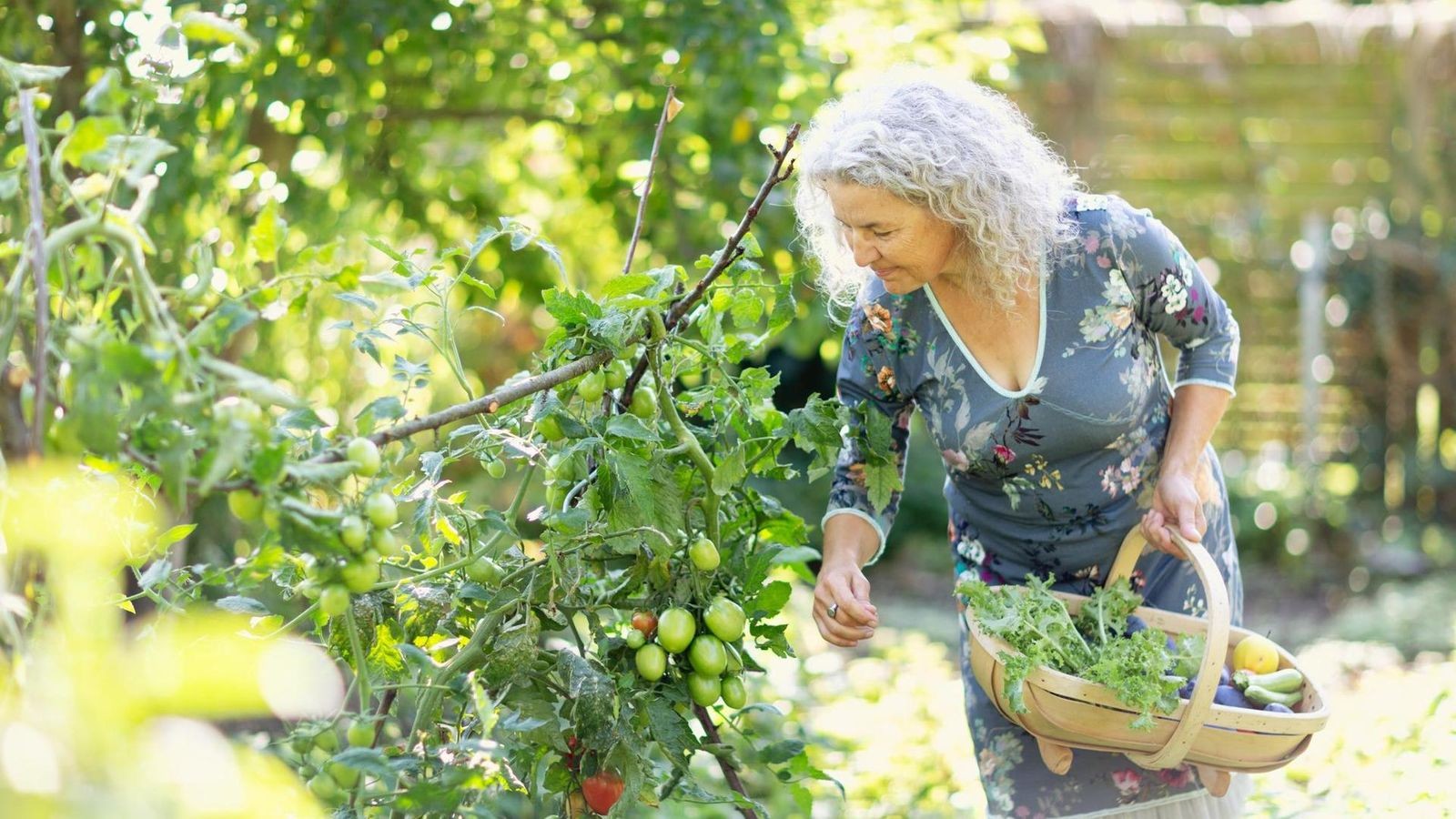 G-rtnern-in-Berlin-Wo-das-auch-ohne-eigenen-Garten-m-glich-ist