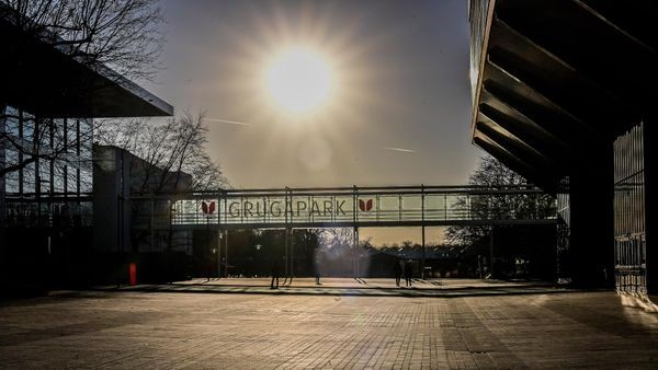 Der Essener Grugapark im August: Das ist das Programm