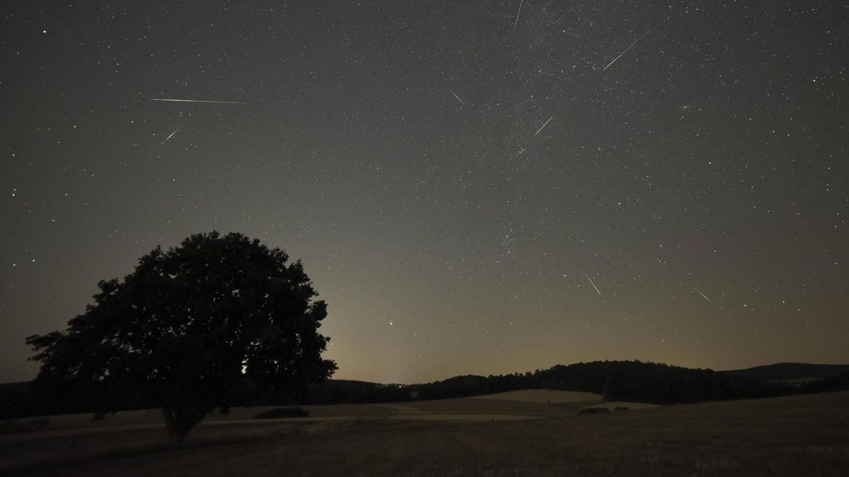 Sternschnuppen, Meteor, Perseiden, Eiche (Quercus), Naturpark Münden, Münden, Niedersachsen, Deutschland, Europa *** Sho
