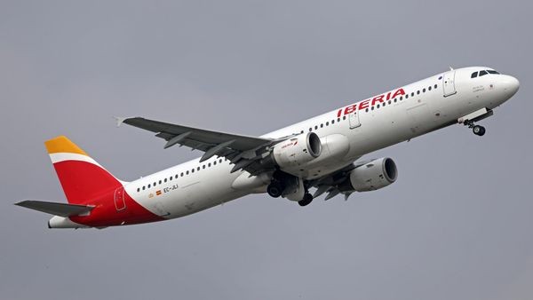 Notlandung wegen Geier: Iberia-Airbus muss umkehren