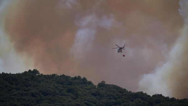 Waldbrand in Spanien: Zahlreiche Urlauber in Andalusien evakuiert