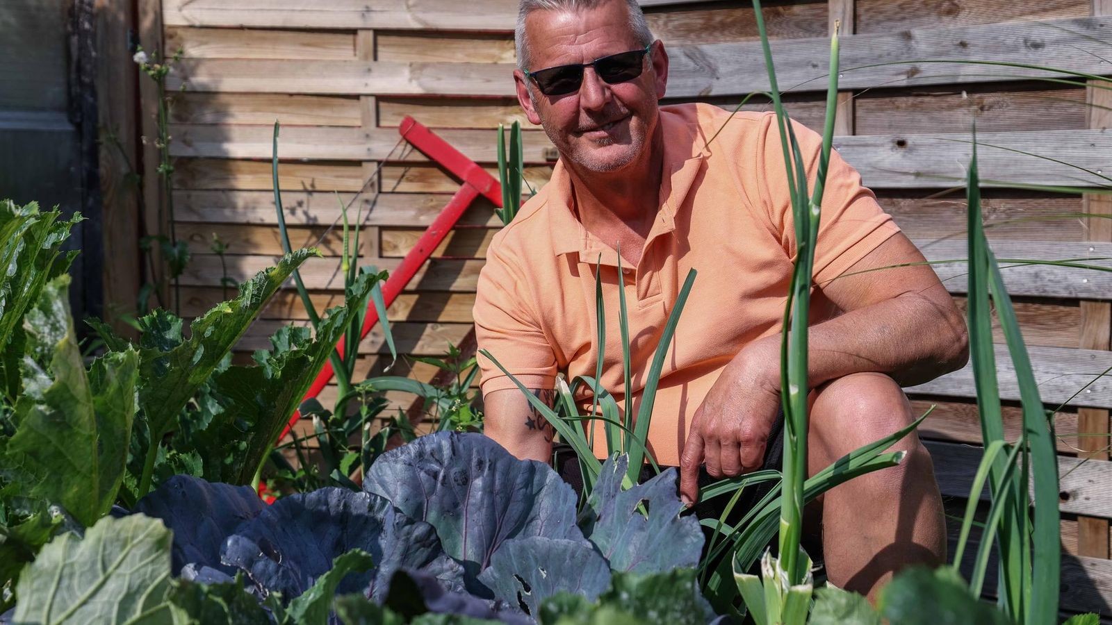 Kleing-rtner-verr-t-So-gelingt-die-Ernte-im-eigenen-Garten