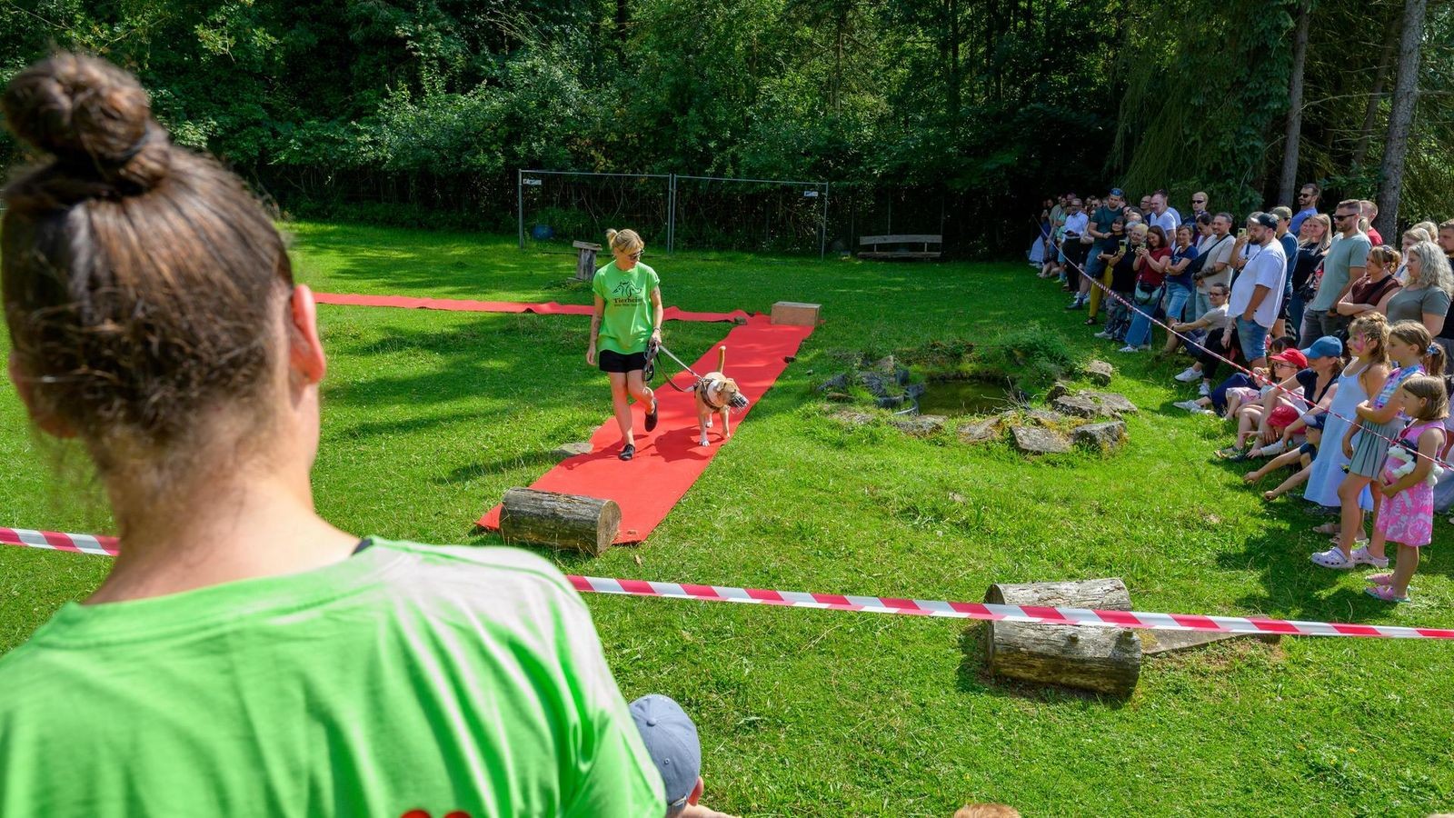 Die-40-sch-nsten-Bilder-vom-Sommerfest-im-Tierheim-Witten