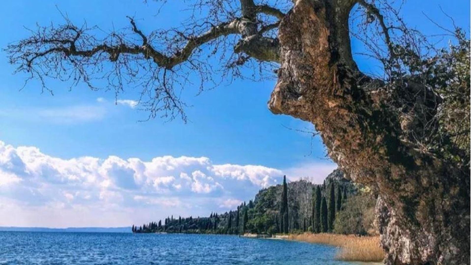 Traumstrand-am-Gardasee-droht-zu-verschwinden-Streit-um-Schiffe