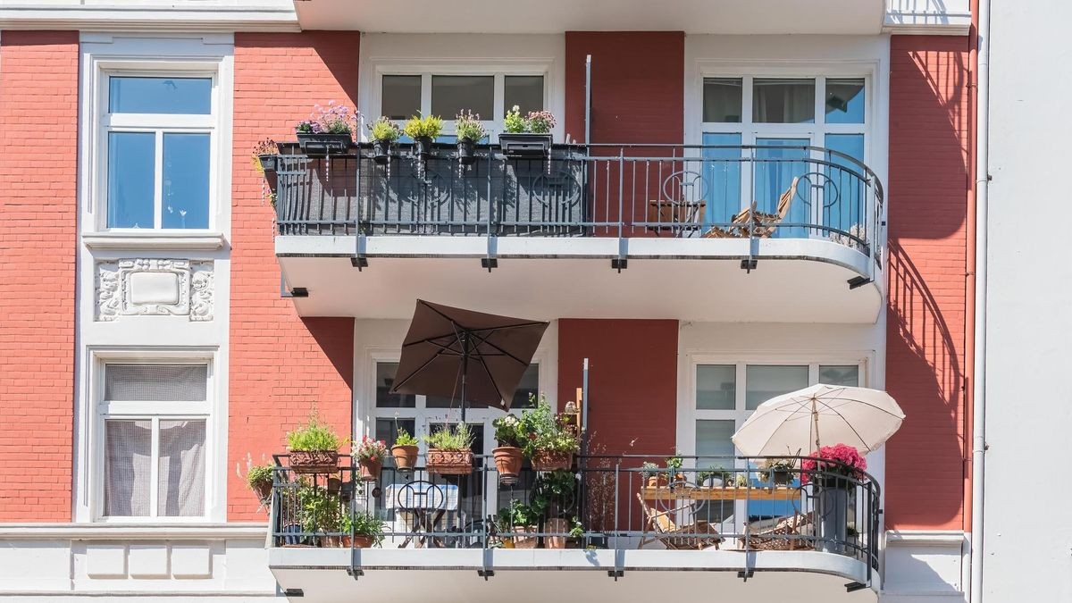 city summer balcony with flowers and plants