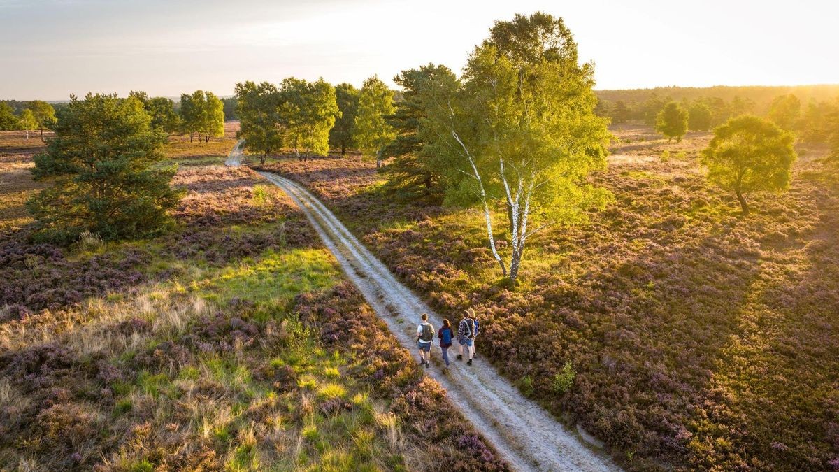 Lüneburger Heide, Heidschnuckenweg, erneute Auszeichnung